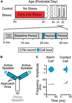 Early-life stress affects Mongolian gerbil interactions with conspecific vocalizations in a sex-specific manner